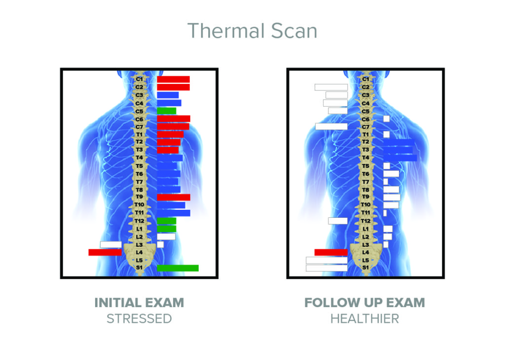 How Efficient is Your Nervous System?